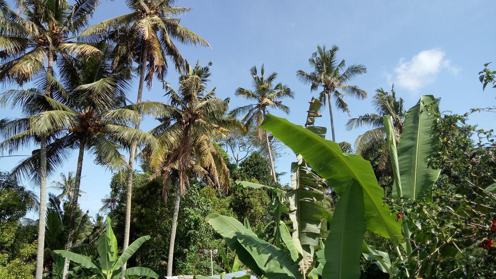 Uma Loris Ubud Exterior photo